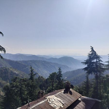 Tree Valley Homestay Chail Exterior foto