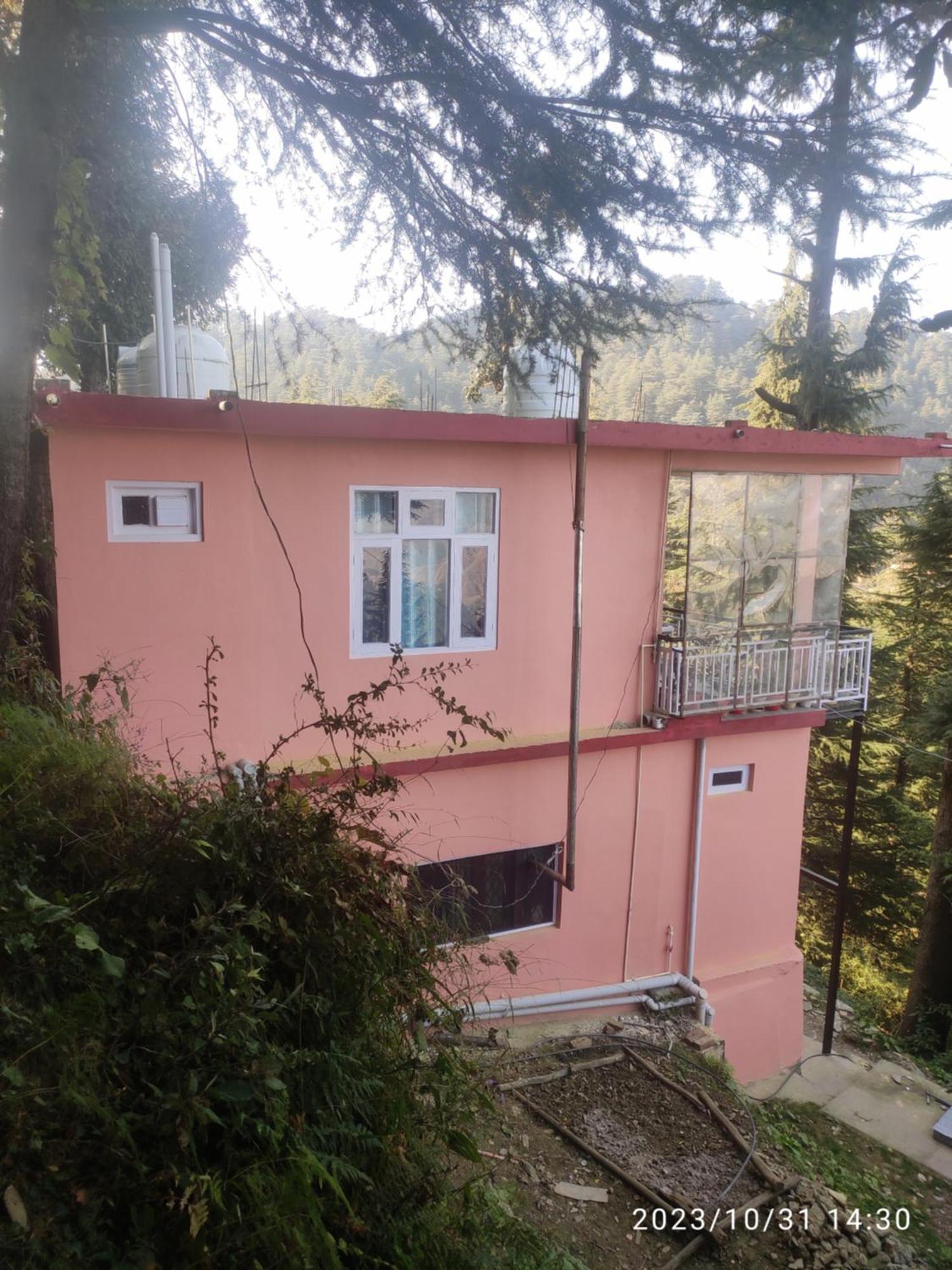 Tree Valley Homestay Chail Exterior foto