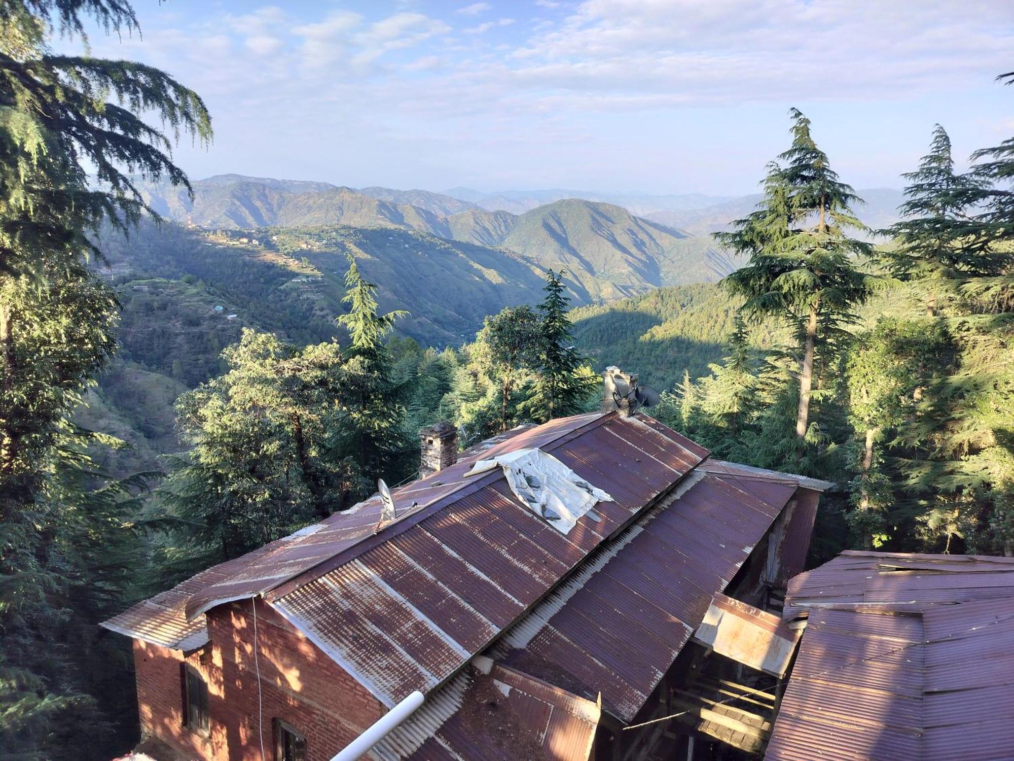 Tree Valley Homestay Chail Exterior foto