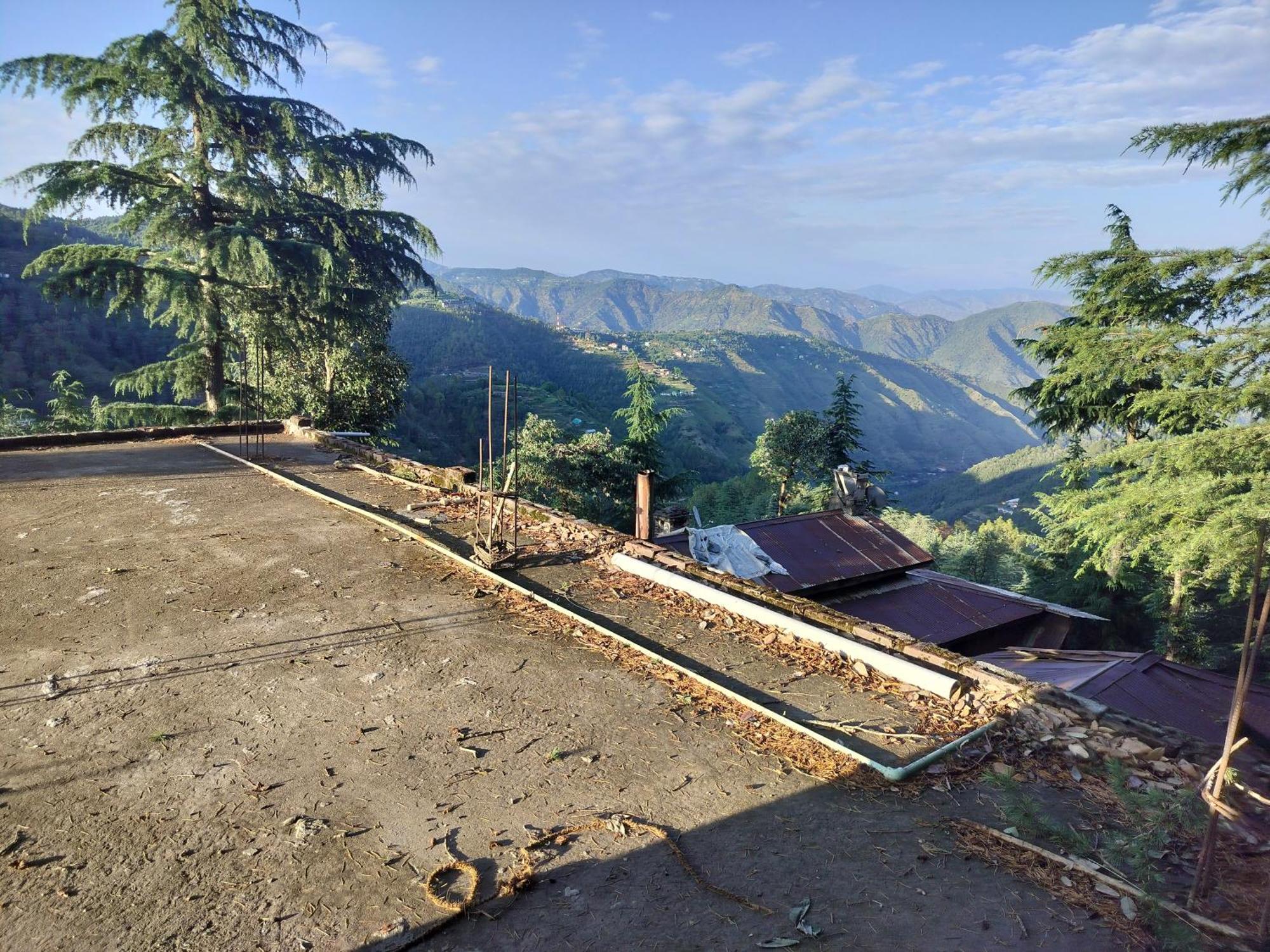 Tree Valley Homestay Chail Exterior foto