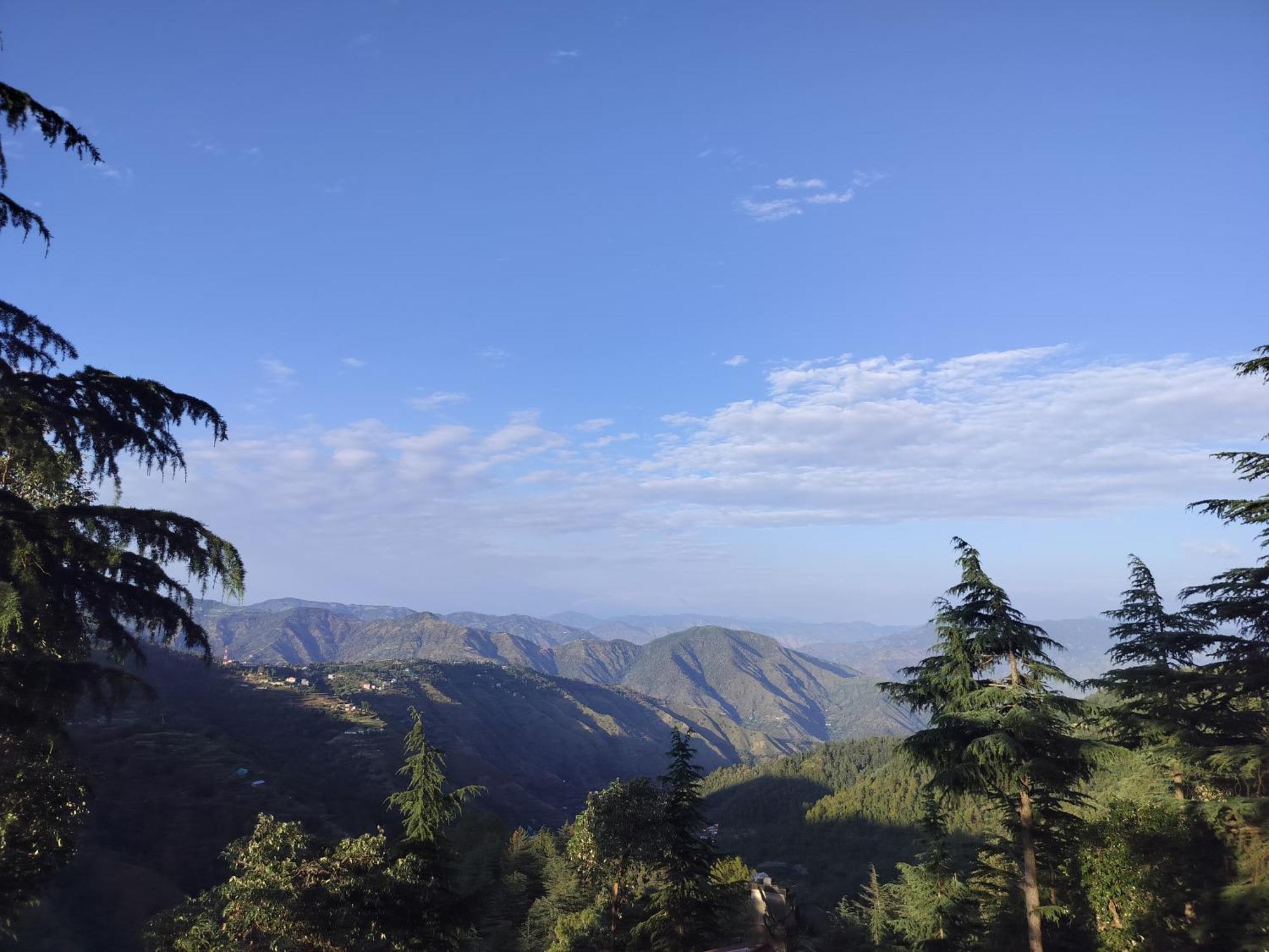 Tree Valley Homestay Chail Exterior foto